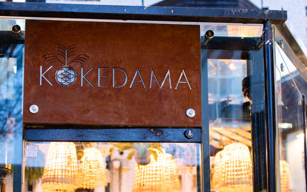 vegan small-plate restaurant kokedama opens
